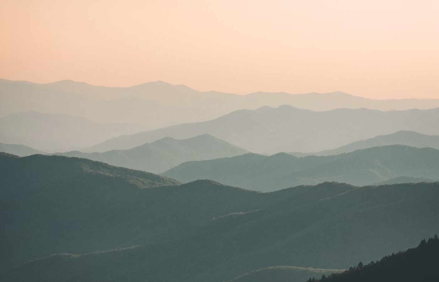 Практики внимания онлайн в Москва